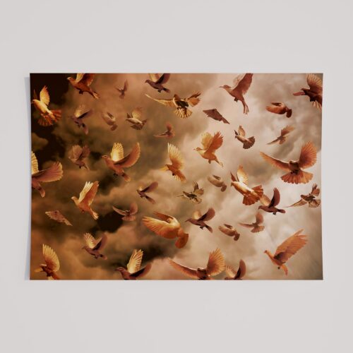FLOCK OF PEACE