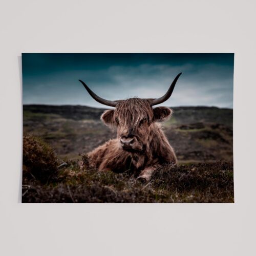 EARTHLY COW