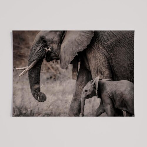 EARTHLY ELEPHANT