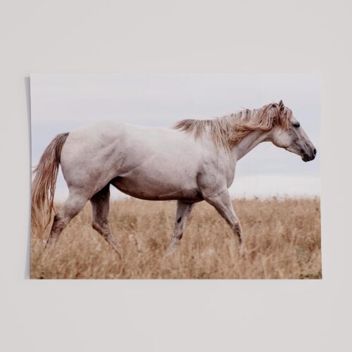 EARTHLY HORSE
