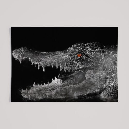 WINDOW TO THE SOUL - CROCODILE