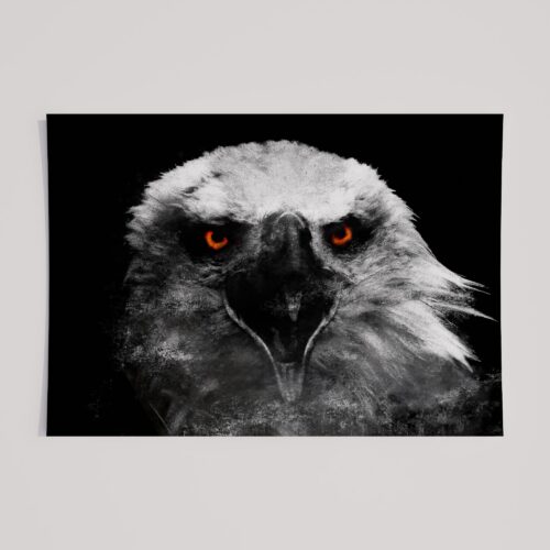 WINDOW TO THE SOUL - EAGLE