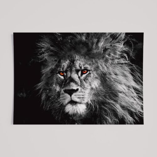 WINDOW TO THE SOUL - LION