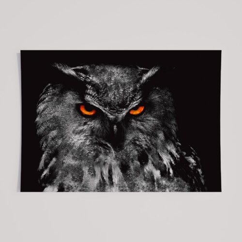 WINDOW TO THE SOUL - OWL