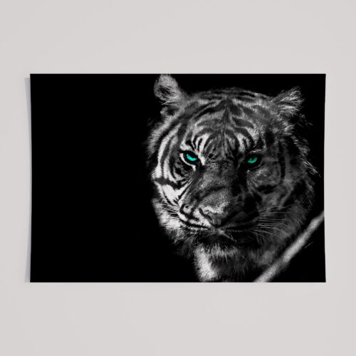 WINDOW TO THE SOUL - TIGER