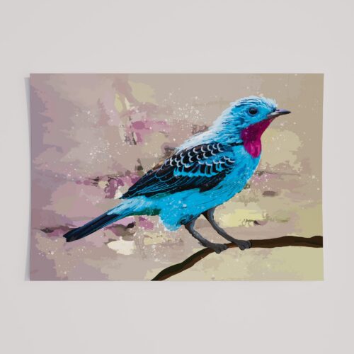 SPANGLED COTINGA