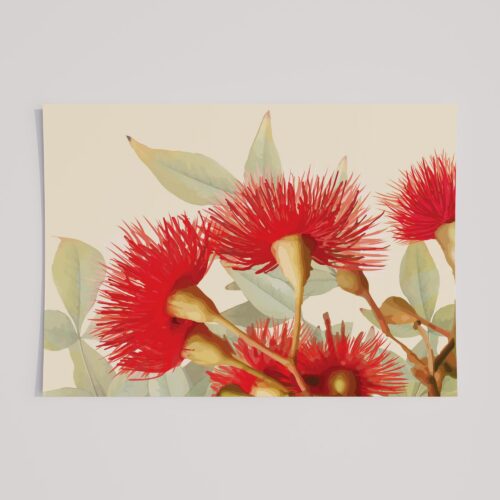 RED GUM FLOWERS