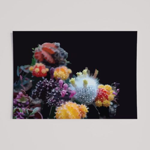 CACTII