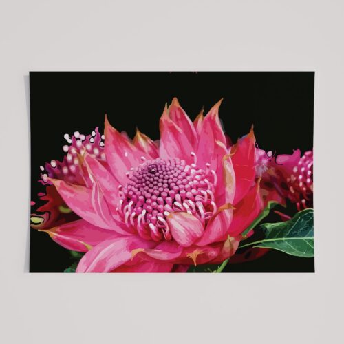 FUSCIA SPARK