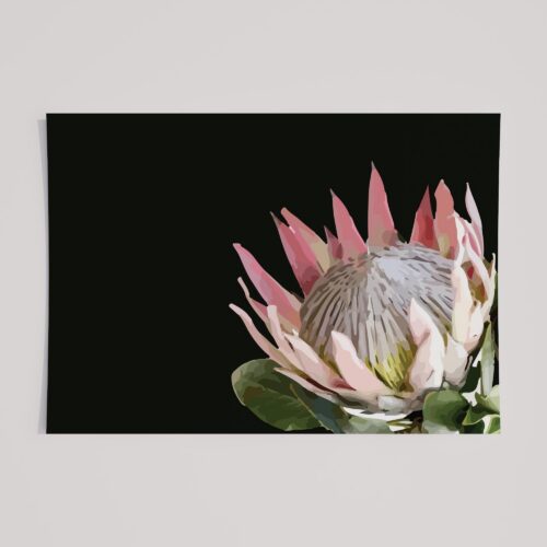 SOFT PROTEA