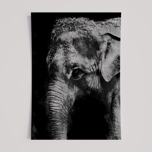WINDOW TO THE SOUL - ELEPHANT
