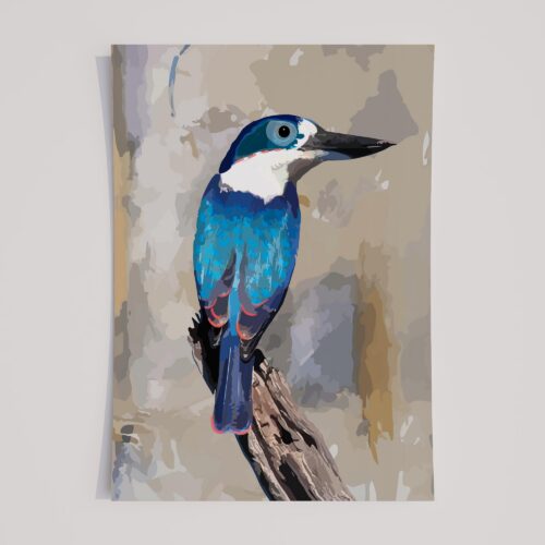 COLLARED KINGFISHER