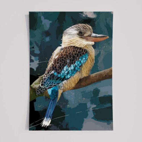 BLUE WINGED KOOKABURRA