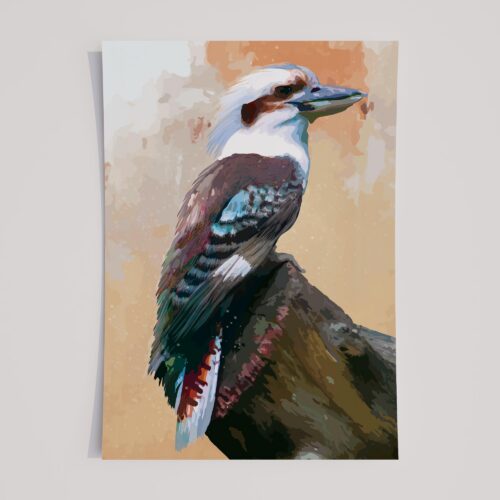 LAUGHING KOOKABURRA