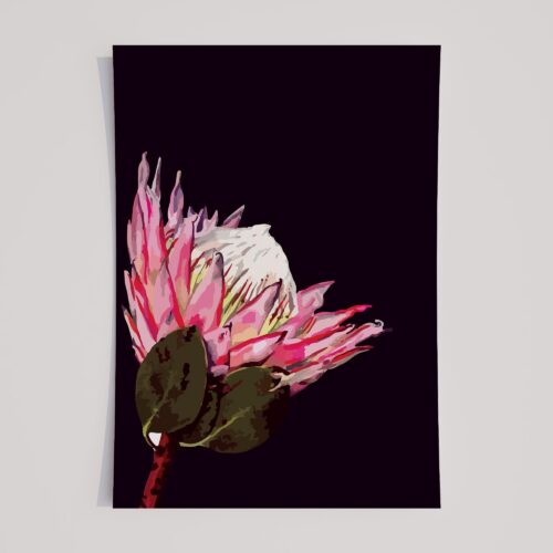 OPENING BLOOM