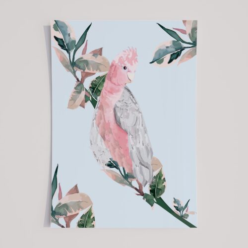 PEACEFUL GALAH