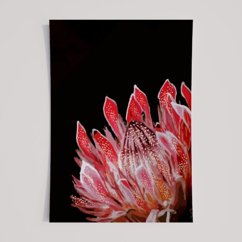 VIBRANT PROTEA