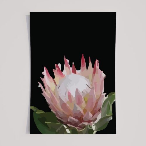 SOFT PROTEA 2