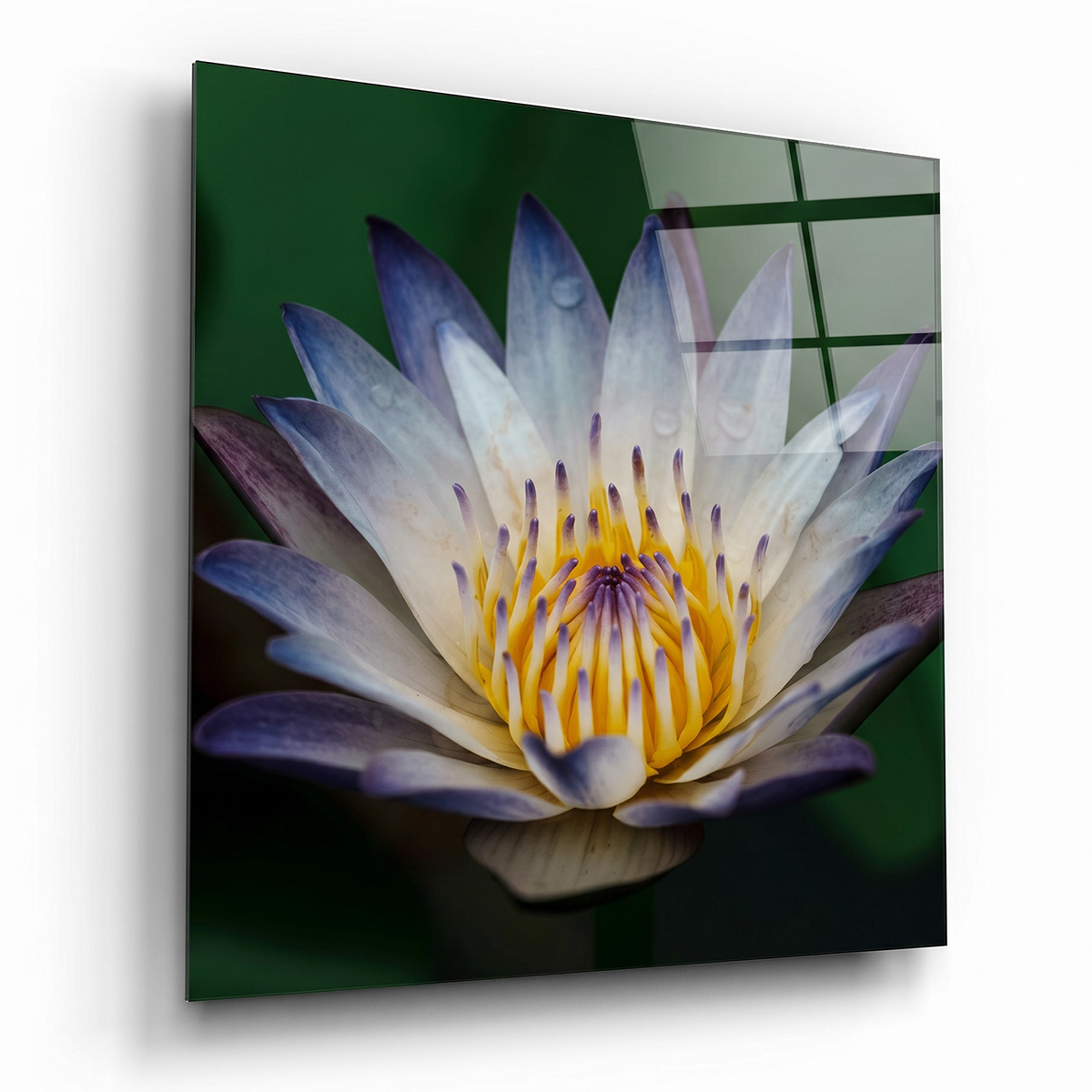 FLOWER GLASS PRINT A